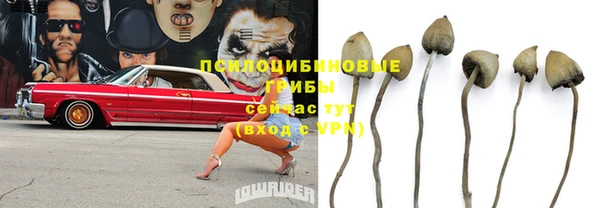 ALPHA-PVP Баксан