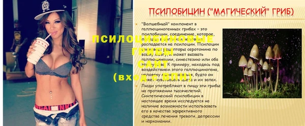 ALPHA-PVP Баксан