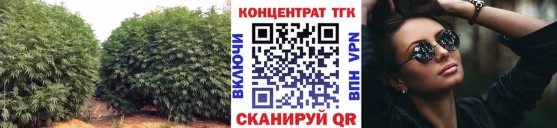 ТГК вейп с тгк  гидра зеркало  Собинка  где найти  